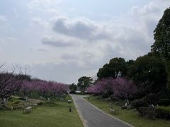 -上海海湾国家森林公园