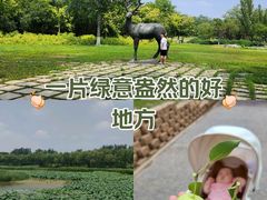 -南海子公园
