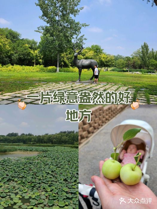 南海子公园图片