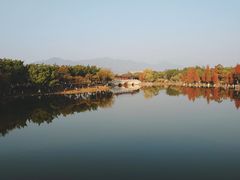 -飞来湖湿地公园