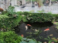 -罗红摄影艺术馆