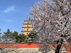 -大慈恩寺(大雁塔)