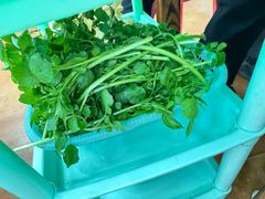 -广宁炭炉鸡煲·富临门饭店