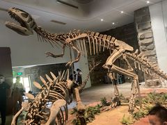 -自贡恐龙博物馆