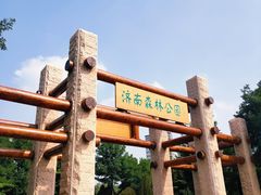 门面-济南森林公园