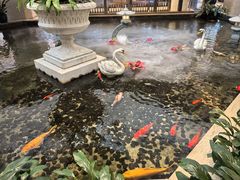 -广州白天鹅宾馆