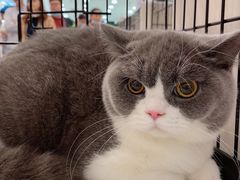 -凯德广场(武胜路店)