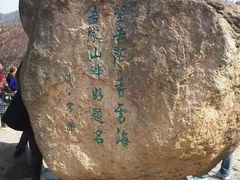 -香雪海