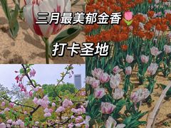 -江南大学(蠡湖校区)