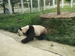 -西安秦岭野生动物园