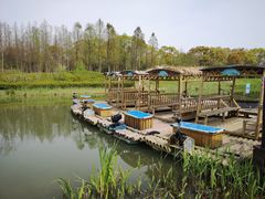 -上海长兴岛郊野公园