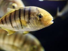 -欢乐海岸海洋奇梦馆