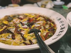 招牌老坛酸菜鱼-首秀·四川料理(星耀101店)