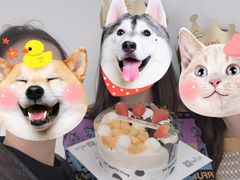 -维尔纳斯·生日蛋糕·动物奶油冰淇淋蛋糕(六里桥店)