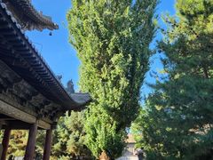 -张掖大佛寺景区