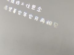 -成都失恋馆