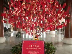 -无锡梁鸿湿地丽笙度假酒店·流觞西餐厅