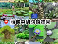 -中国科学院西双版纳热带植物园