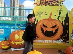 -海合安成都极地海洋公园