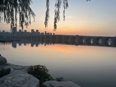 -武汉动物园