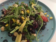 -百好乐宠物友好餐厅(朝外大街店)