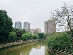 -晓港公园
