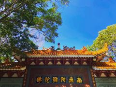 -深圳仙湖植物园