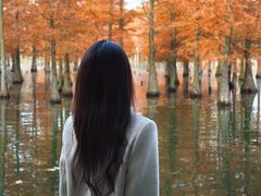 -白鹭湾湿地公园