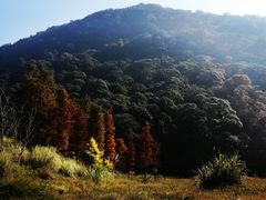-广州市石门国家森林公园