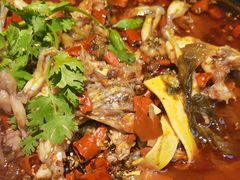 -渝蛙馆(新百店)