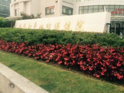 -中国福利会国际和平妇幼保健院(徐汇院区)