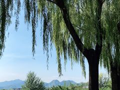 -青龙湖公园