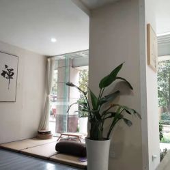 -榕树上·瑜伽普拉提