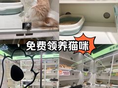 -南京时尚莱迪购物广场(正洪街店)