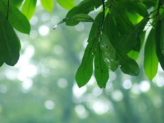 -杭州半山国家森林公园