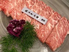 -樱宿日式和牛烧肉(五道口店)