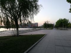 -南开大学滨海学院