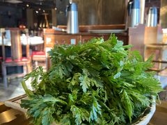 茼蒿-红鼎坊·老成都火锅(新南门店)