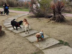 -桤木河湿地公园