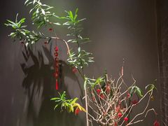 -青螺餐厅·家宴(松雅湖店)