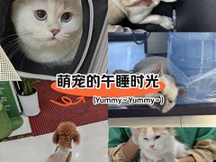 -派美特宠物医院·核磁CT·骨科肿瘤·疑难转诊(沈农禾丰店)