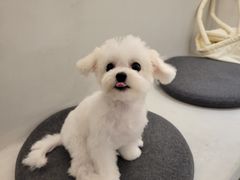 -comecome来吧宠物(奥克斯中心店)