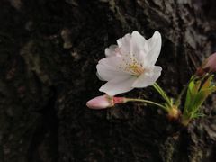 -上海体育场(地铁站)