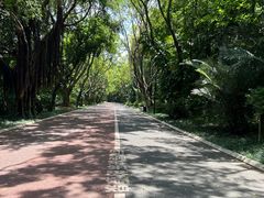 -南宁南湖公园