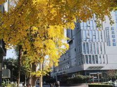 -四川大学(华西校区)