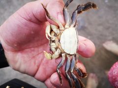 -嵊泗基湖沙滩