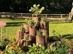 -云溪植物园