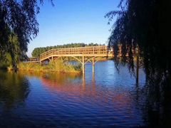 -白渔泡湿地公园