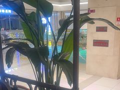 -旺顺阁鱼头泡饼(常营店)