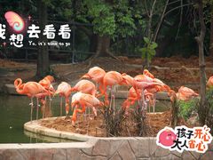 -广州动物园